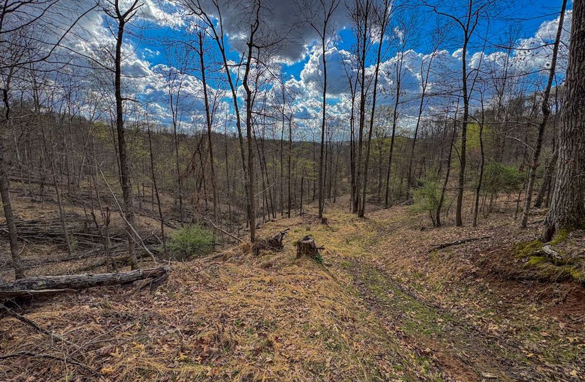 Wirt, WV 156.941 AC Full-05