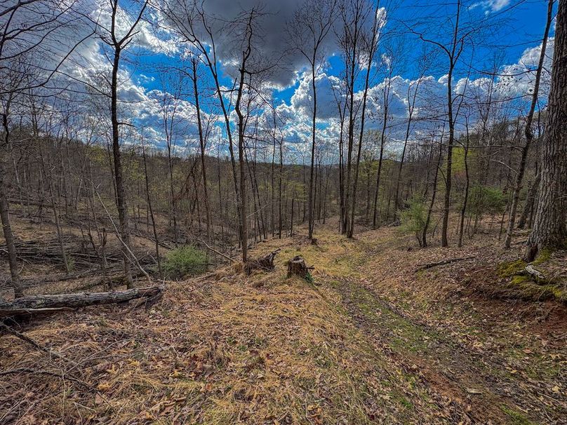 Wirt, WV 156.941 AC Full-05