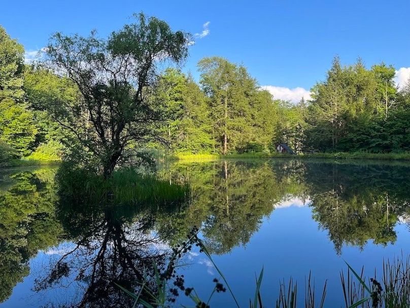 Tioga_28.87_Shangraw Photo 29