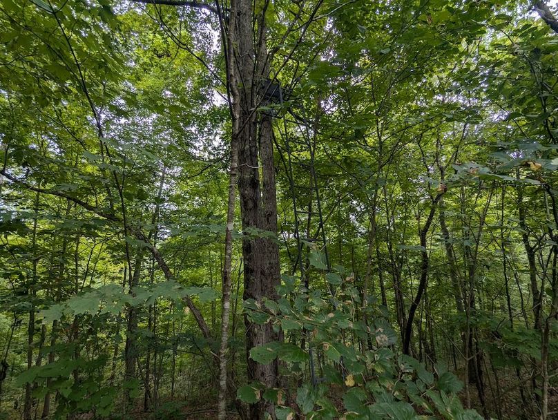 PXL_20240819_150355212