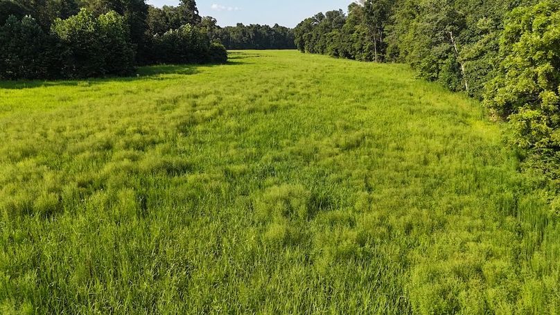 DJI_20250808180531_0785_D