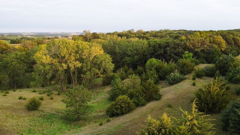 FREMONT CO IA 159.05_86