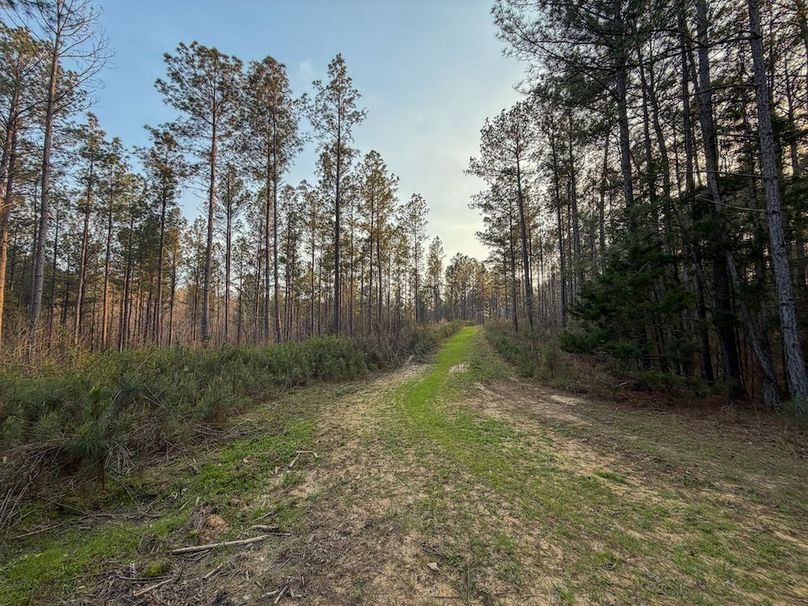 F049 McCosh Mill 117 Acres - 1-7