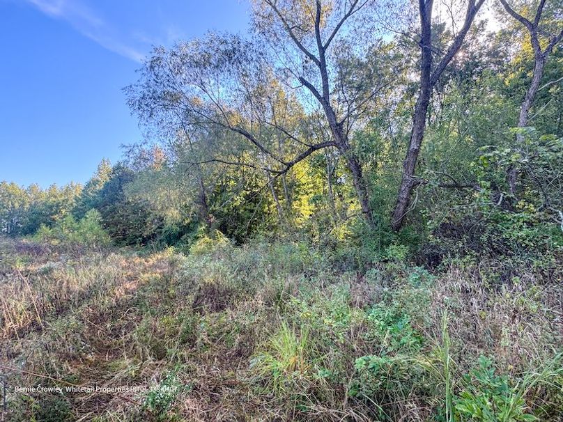 DeSoto 109 Prewett -43