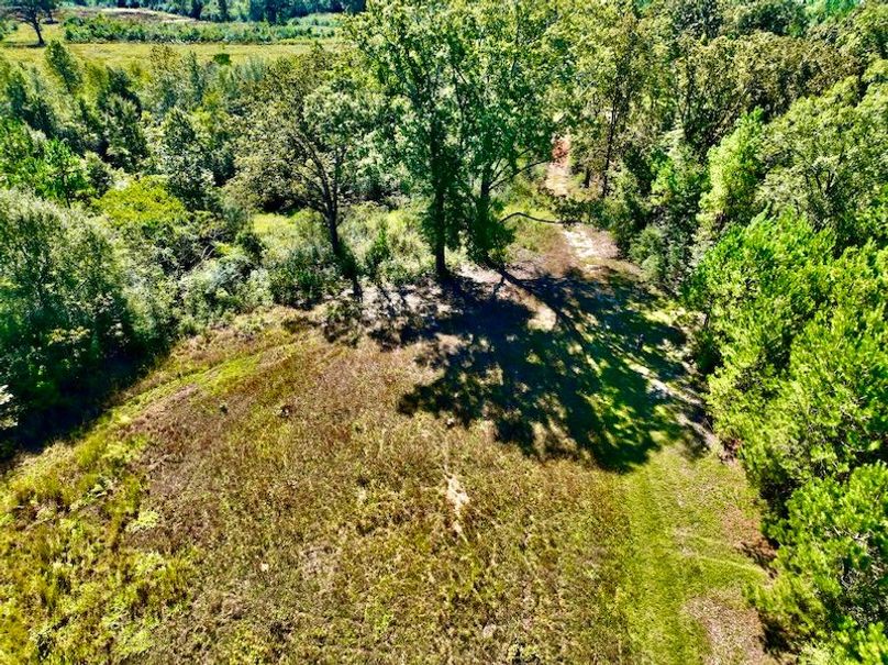 D5AF7859-09C8-46CF-B6BC-15D3CA747D07_1_201_a