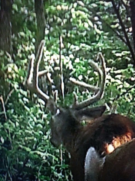 8BBBA0BC-CACE-4E18-A5BE-CC68568CC737