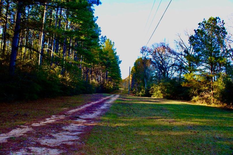 E8F6A104-358B-4977-A406-1306F8940AD0_1_201_a-2