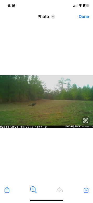 Trail Pic 16
