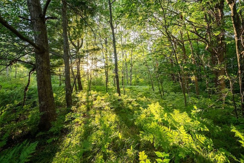 Cass MN 1095 Featured ProPhoto-13