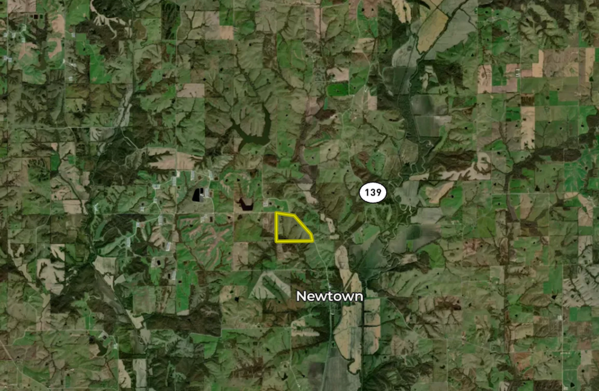 Screenshot 2026-03-11 at 11.22.56 AM