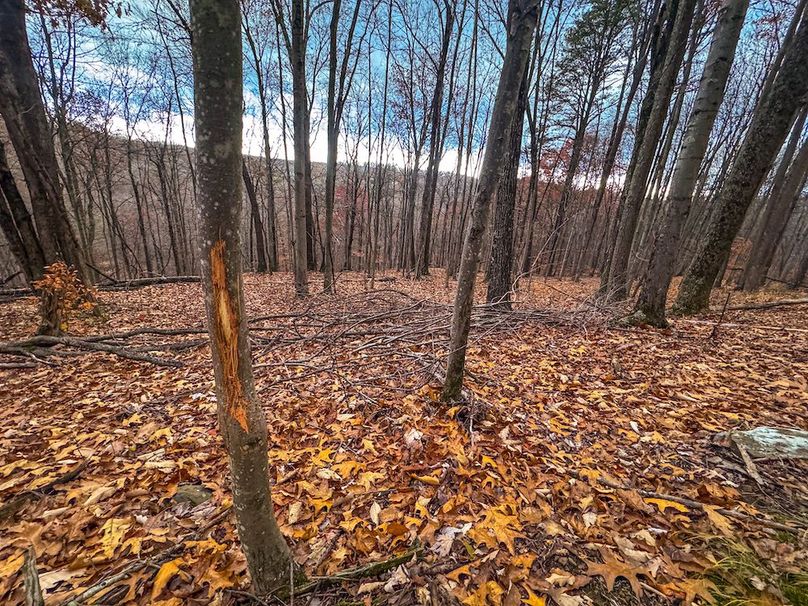 Ritchie, WV 14.081 AC Currey-24