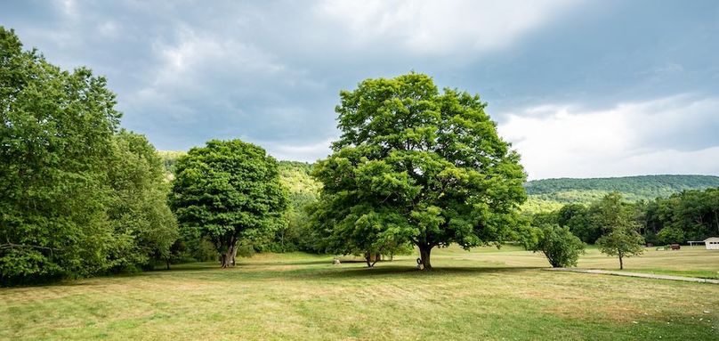 Schuyler_2_Lewis Photo 44