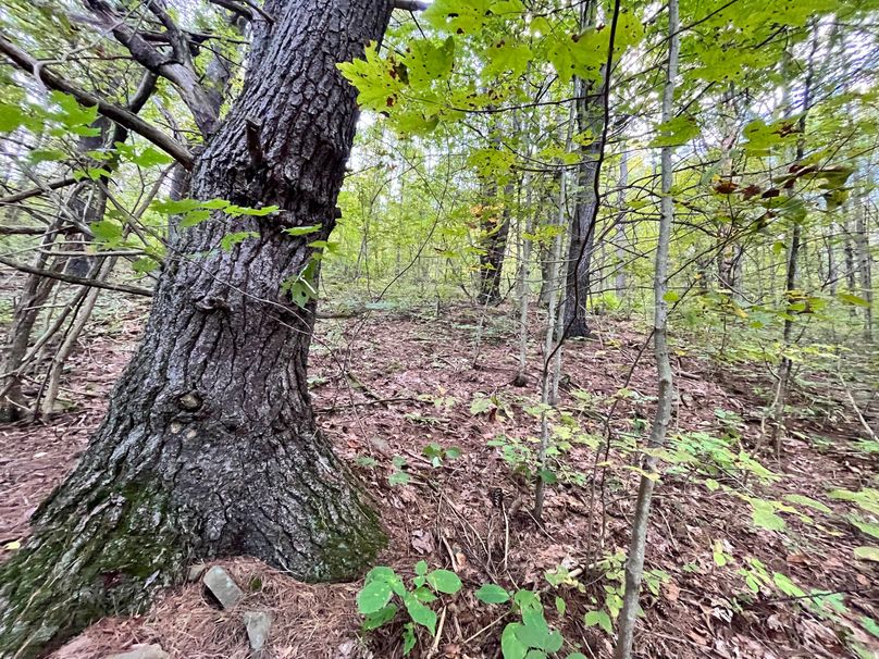 Tioga_20_Peters Photo 23