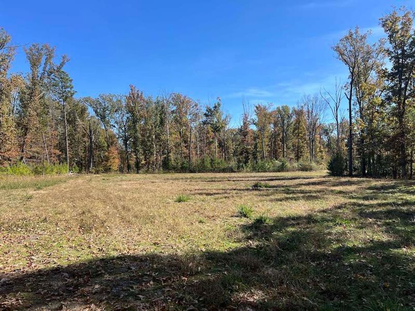 jeff 5020251111_0335