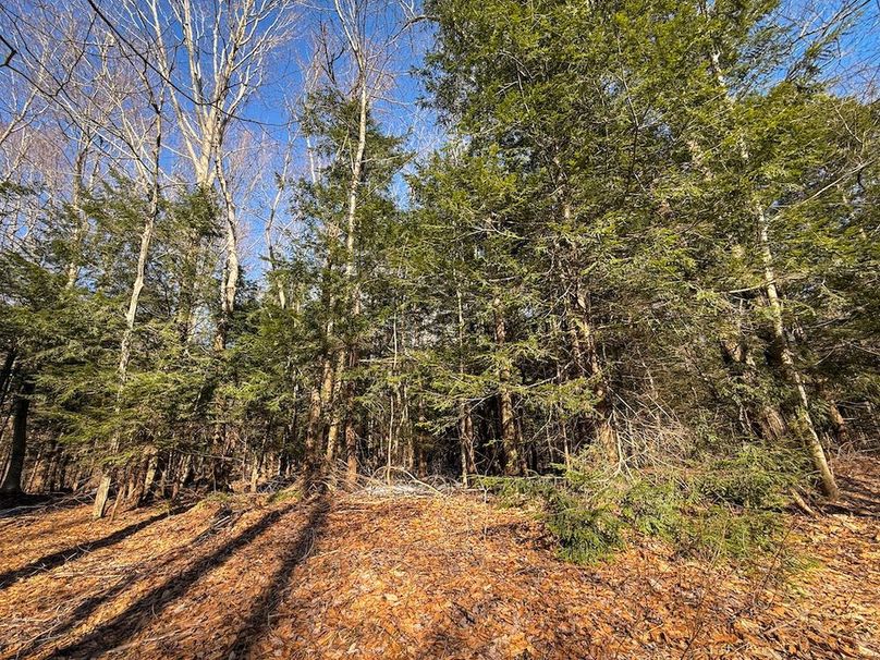 Oswego_16.32_Phillips Photo 16