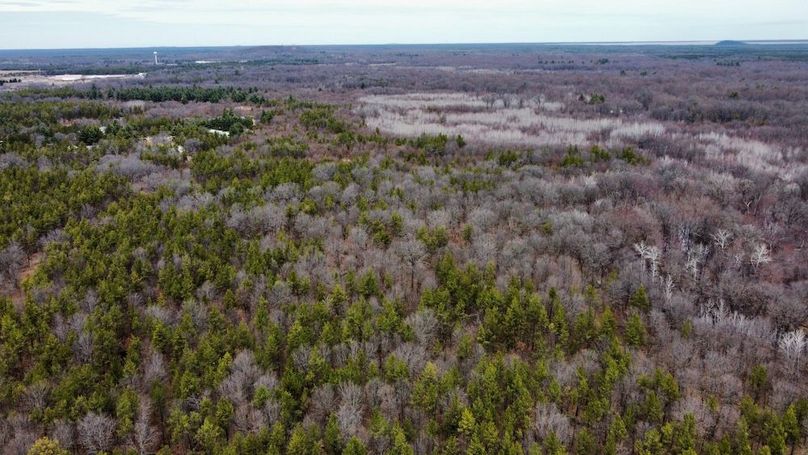 dji_fly_20250404_130240_745_1744067516264_photo_optimized 2
