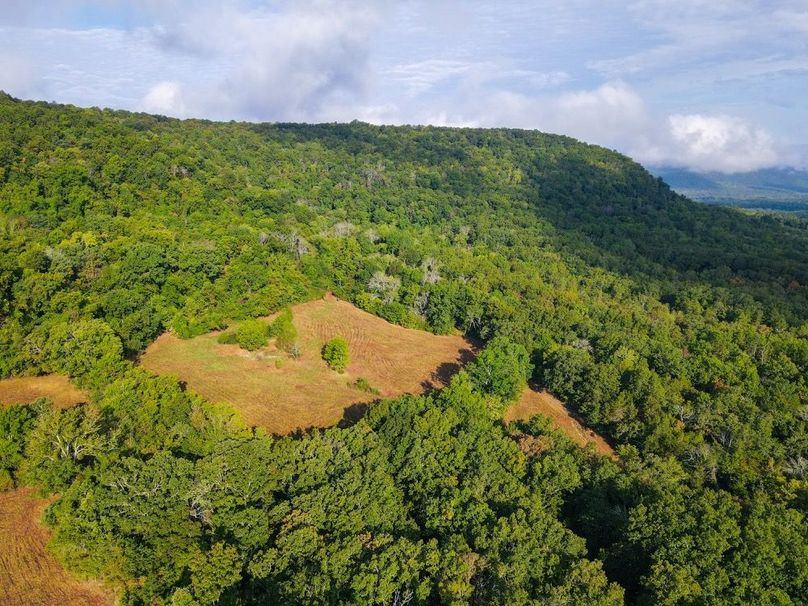 dji_fly_20250826_083638_687_1756215420873_photo