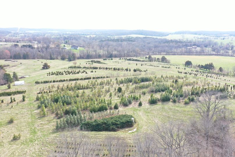 DJI_0901