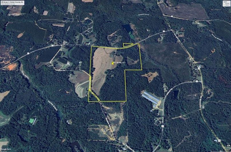 Aerial #5 Approx. 95 Acres Butler County, AL