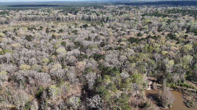 dji_fly_20260305_050536_0095_1772672659457_photo