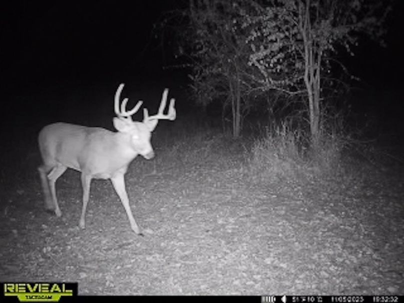 865509050418056-50-4-11052023193258-W1003146