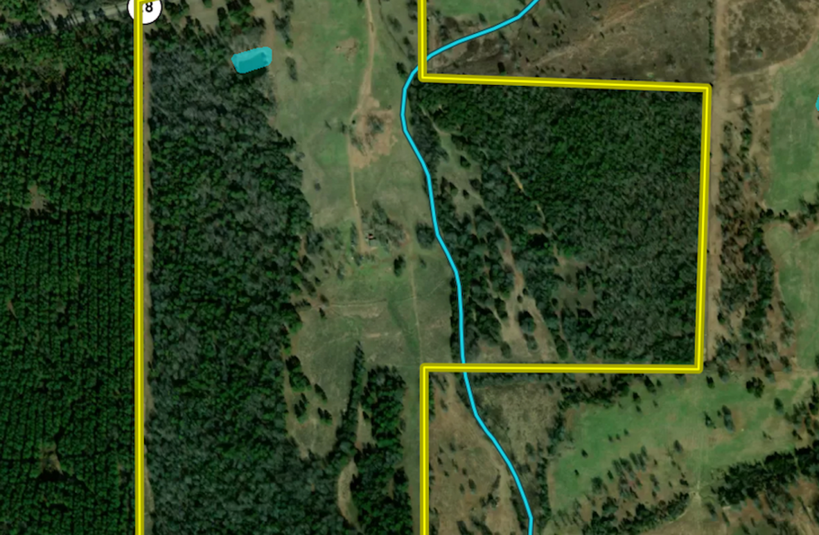 Screen Shot 2024-05-13 at 12.20.37 PM