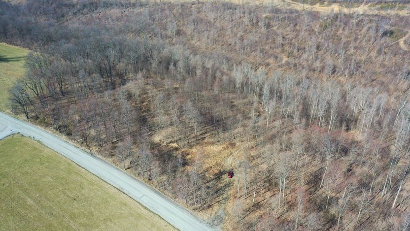 DJI_0615