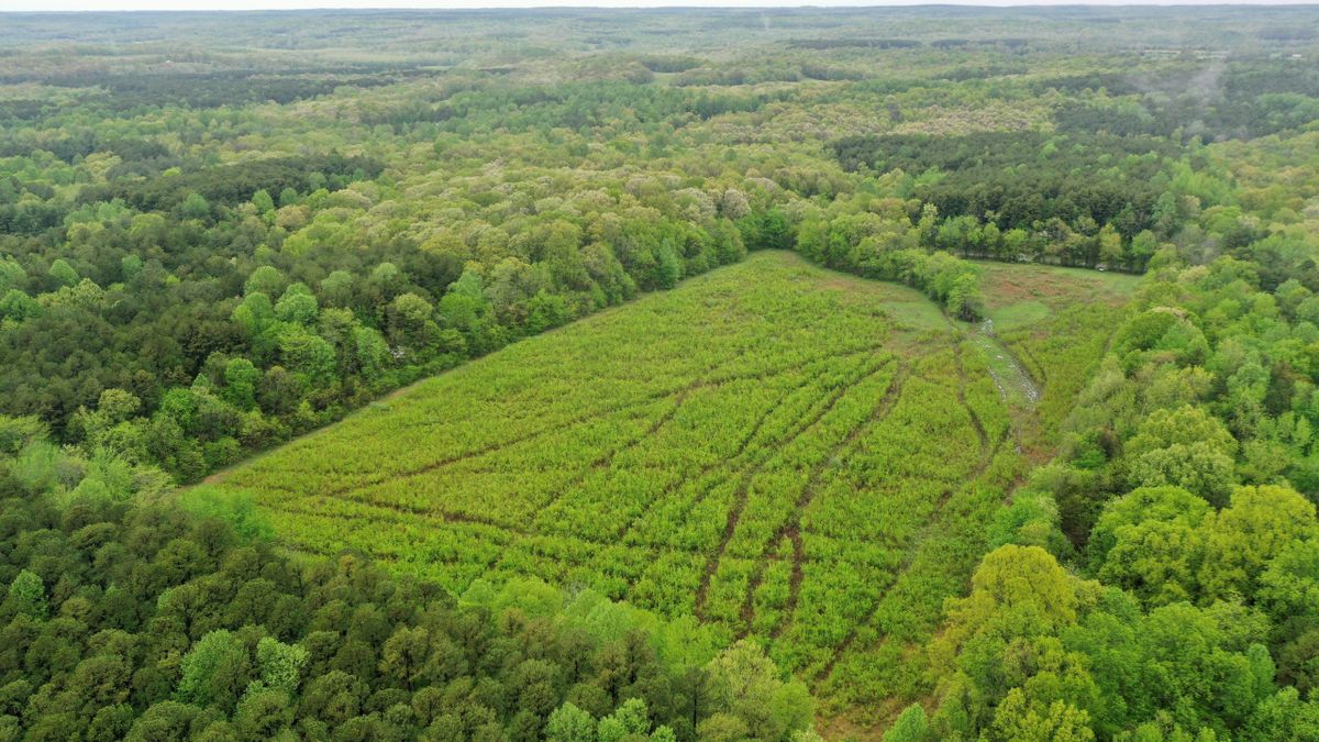 Small Acreage Hunting Farm Adjoining Shawnee National Forest