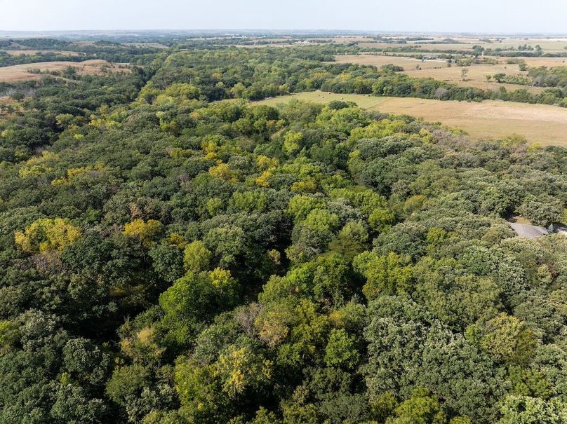 20240913-DJI_20240913110052_0134_D