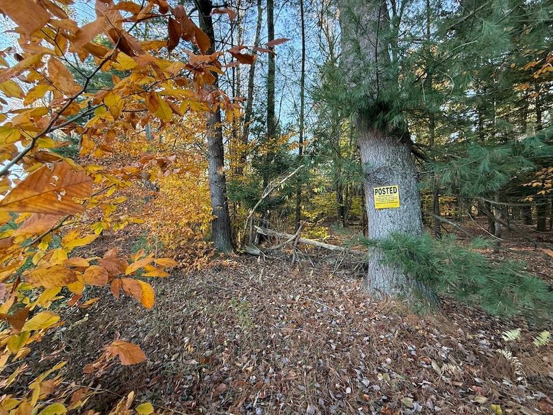 Oswego_26.28_Koehler Photo 11