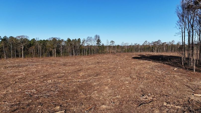 dji_fly_20251114_083704_0001_1763127632087_photo