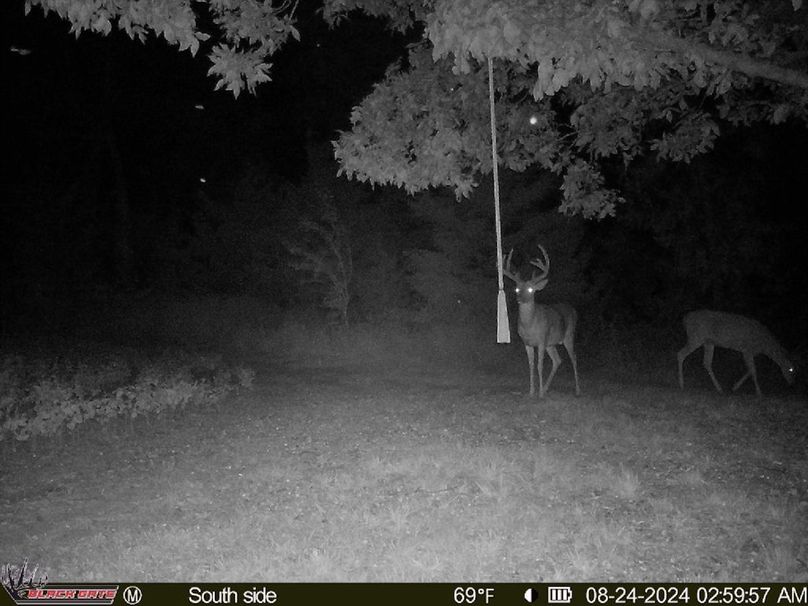 blackgate-media_47615995576572