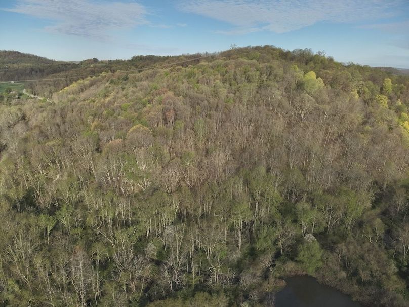DJI_20250428081629_0005_V