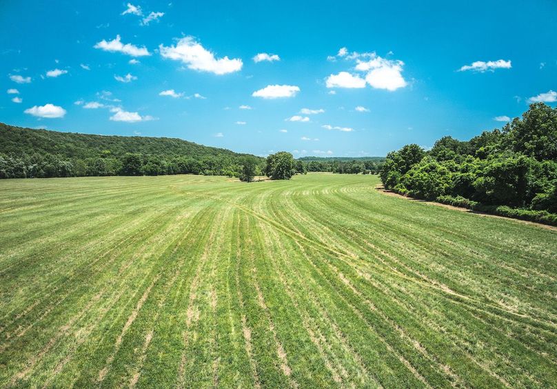 DJI_20250621133730_0632_D