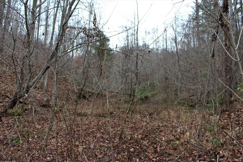 020 ground shot along the valley leading to the old homestead