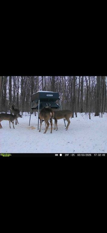 Screenshot 2026-02-09 at 3.14.08 PM