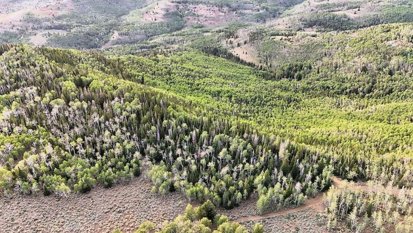 DJI_20250726190921_0297_D