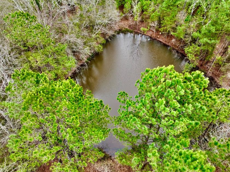 A73324D8-10DD-477C-A117-4DDF5139657F_1_105_c