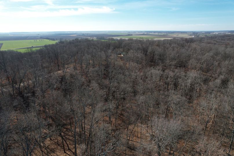DJI_0389