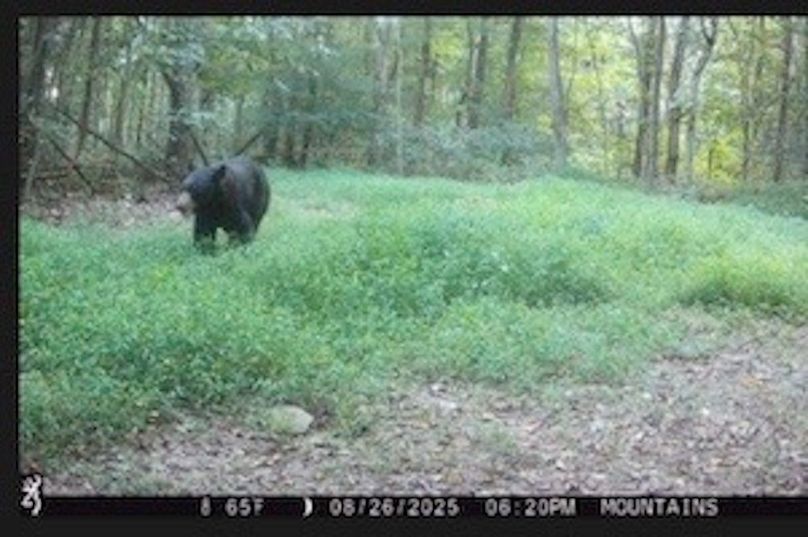 Image 3-4-26 at 10.53 AM