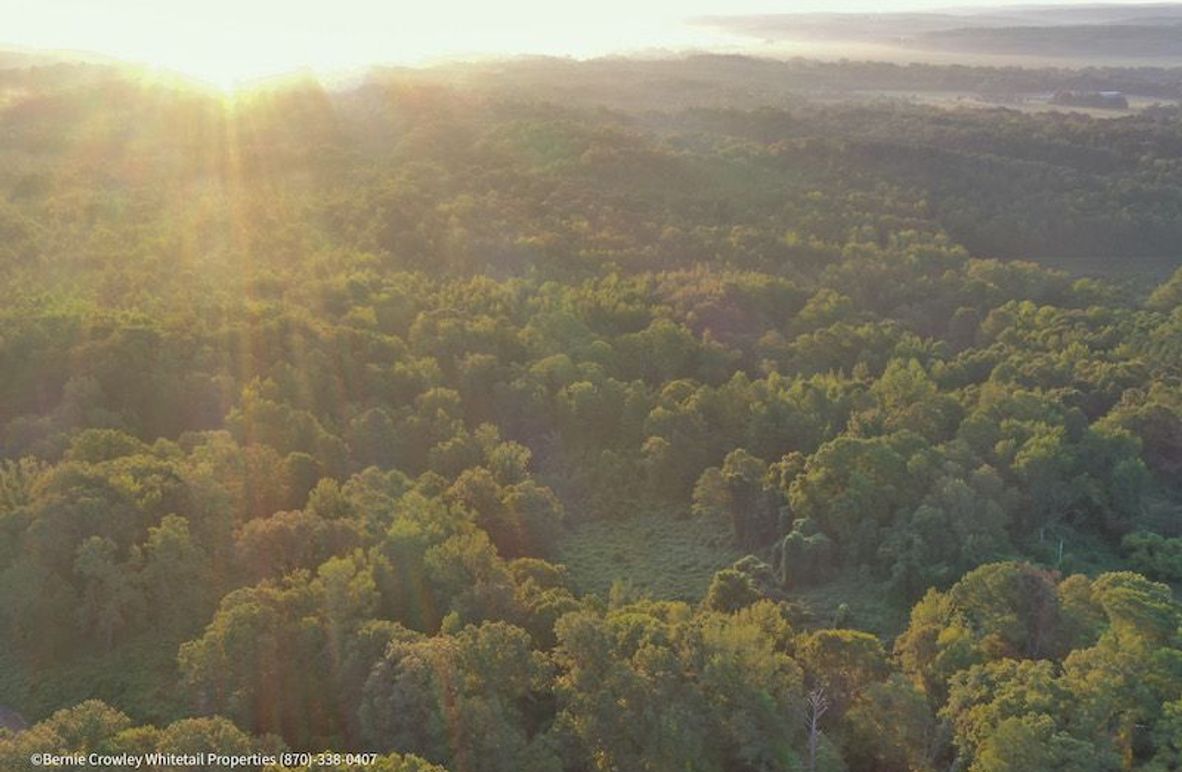 Lafayette 37.0 Bruce-01