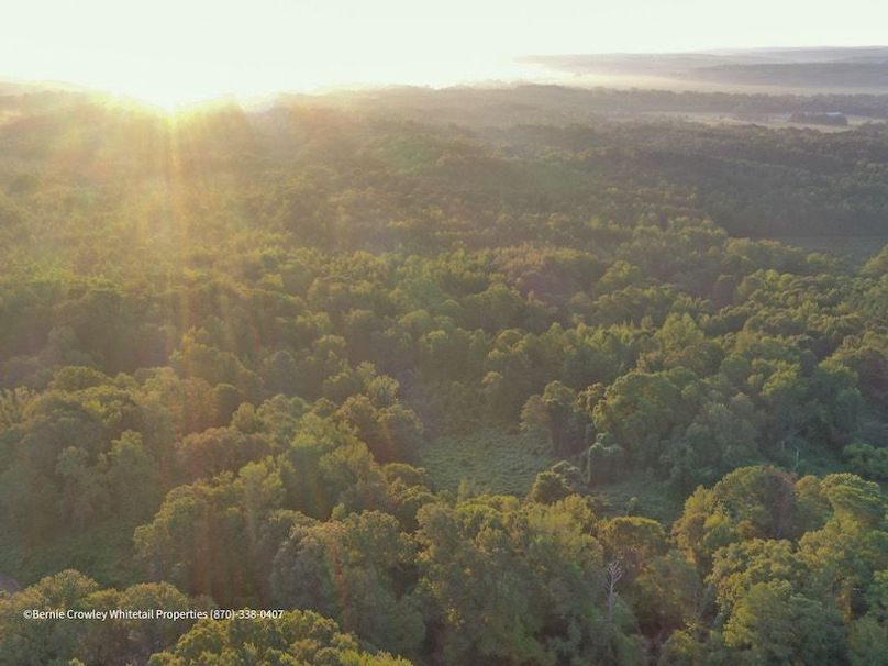 Lafayette 37.0 Bruce-01