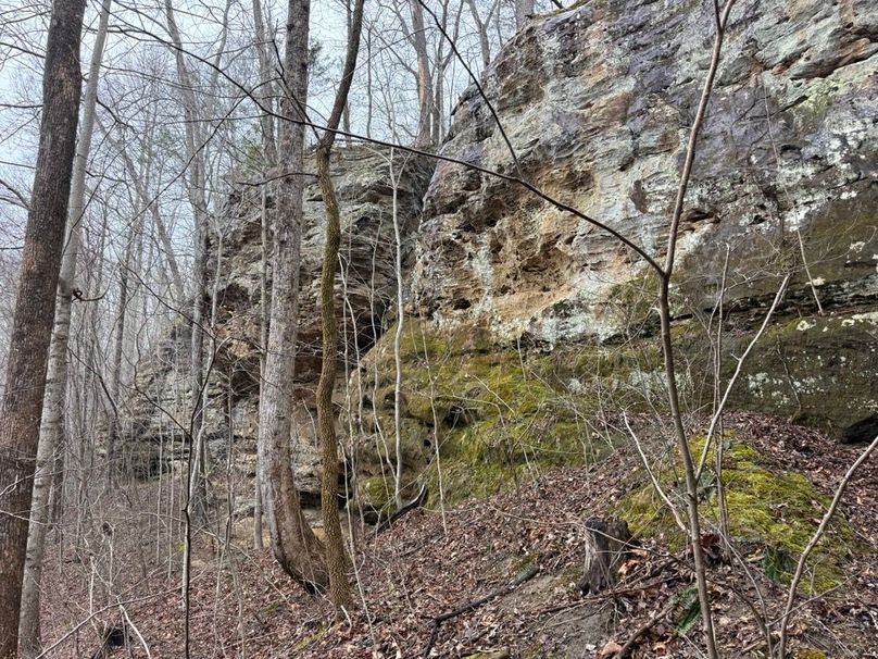 009 big rock face in the middle part of the property