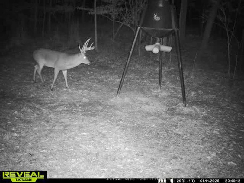 Holmes County - 108 - Rodriguez-83