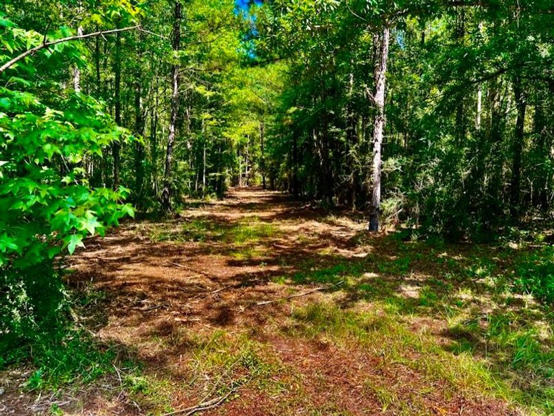 FBDF2908-70CA-47A3-A08D-5F62CC1329C0_1_105_c