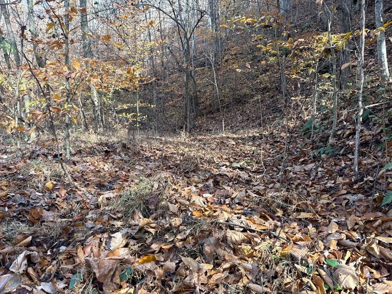 018 Solid Road Bed through a lot of the property