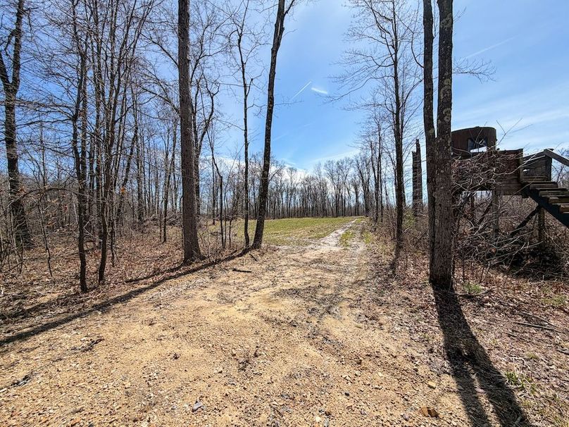 ClarK 160 WILLIAMS -54