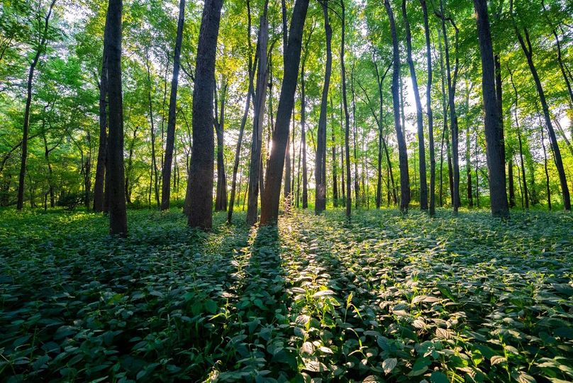 Copy of DSC06242 Large