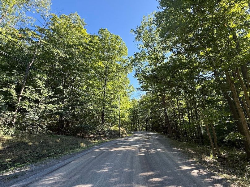 Ontario_2.7_Proseus Photo 7