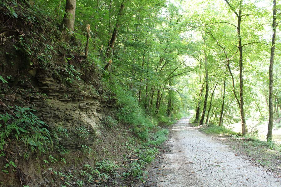 002 the county gravel road that runs along the west boundary and Quicksand Creek
